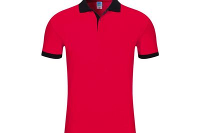 Fashion Tshirt Polo (1)_副本